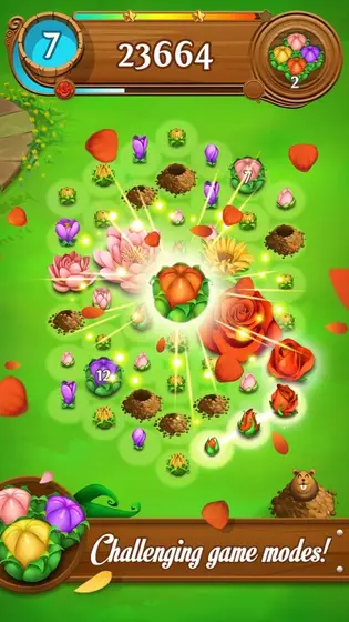 Blossom Blast Saga board with linked flowers